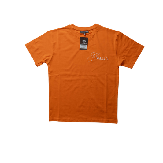 GB BASIC ORANGE